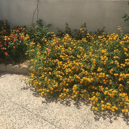 לינה וארוחת בוקר Oschiri A Casa Di Zia מראה חיצוני תמונה